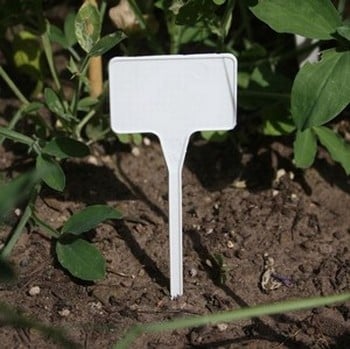 T Labels (50 Pack) White