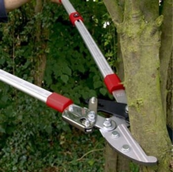 Telescopic Ratchet Lopper