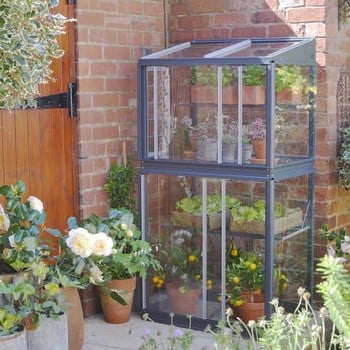 The City Growhouse The City Growhouse