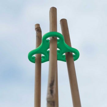 Tomato Plant Halos in Green