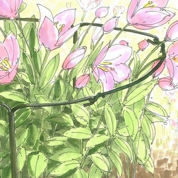 Tying Wire for Y-Stakes Tying Wire for Y-Stakes