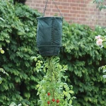 Upside Down Vertical Gardening Grow Bag Planter – For Vegetables, Fruits, Herbs – Red