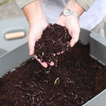 Urbalive Worm Composter Kit