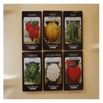 Vegetable Fridge Magnets
