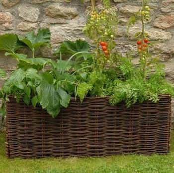 Vegetable & Tomato Planter with Willow Surround