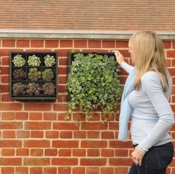 Vertical Wall Planter