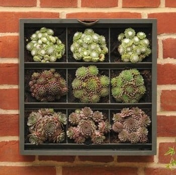 Vertical Wall Planter