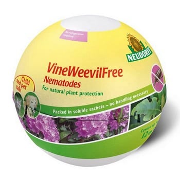 VineWeevilFree Nematodes