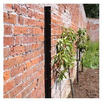 Wall Mounted Wire Growing System