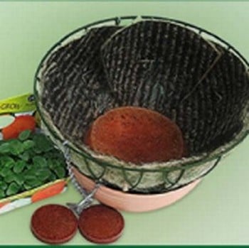 Water Slice® 12 pack Water Slice® 12 pack