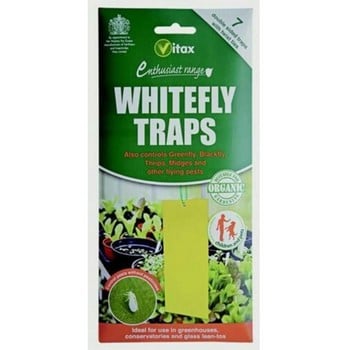 Whitefly Traps