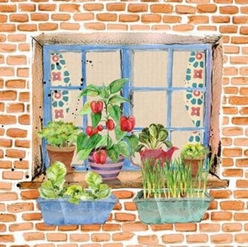 Window Box Garden