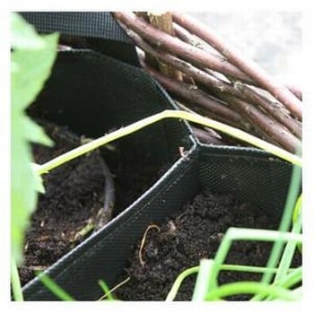 Window Box Planter and Willow Surround