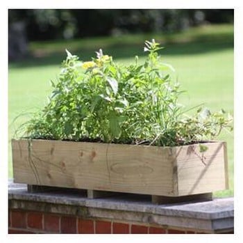 Window Boxes