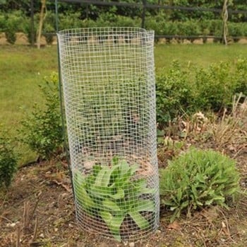 Chicken Wire - Harrod Horticultural (UK)