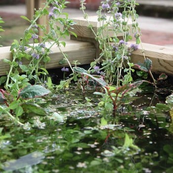 Wooden Raised Bed Pond Kit (1.2m x 1.2m)