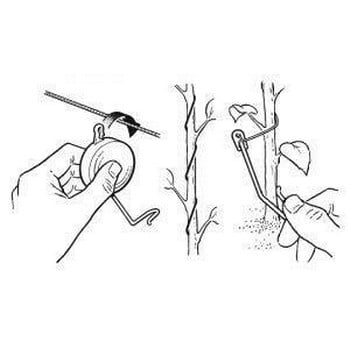 Yo Yo's Plant Supports Yo Yo's Plant Supports