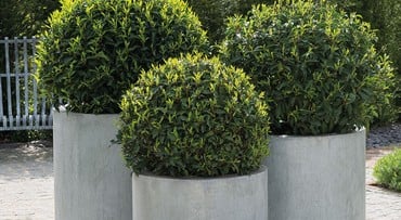 Ravello Steel Planters