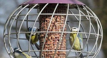Round Helix Nut Bird Feeder - Aubergine