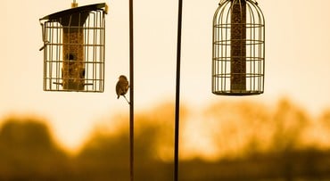 Shepherd's Crook Rust Finish Hanging Hooks - 5 Pack Shepherd's Crook Rust Finish Hanging Hooks - 5 Pack