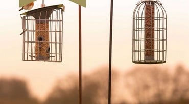 Shepherd's Crook Rust Finish Hanging Hooks - Pack of 6 Shepherd's Crook Rust Finish Hanging Hooks - Pack of 6