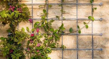 Southwold Decorative Wall Trellis Panels