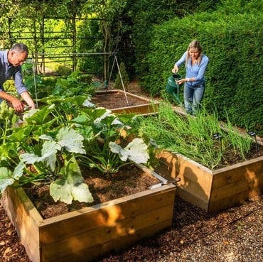 Allotment Wooden Raised Beds