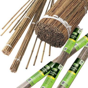 Bamboo Canes - 1.8m Long (20 Pack)