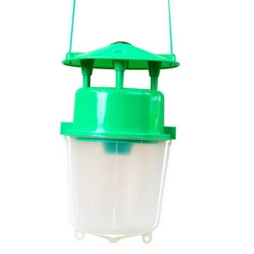 Box Tree Caterpillar Moth Pheromone Trap Box Tree Caterpillar Moth Pheromone Trap