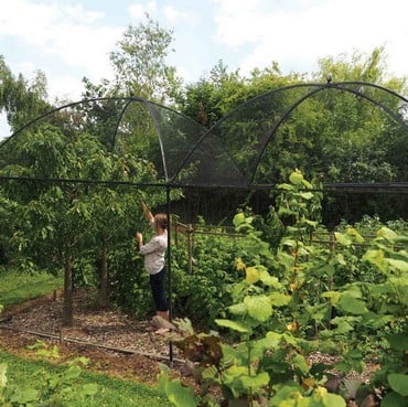 Dome Roof Steel Fruit Cage - Pineapple Finial