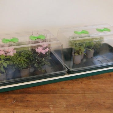 Double High Top Variable Temperature Control Electric Propagator Double High Top Variable Temperature Control Electric Propagator