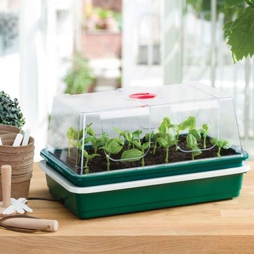 Electric Starter Propagator