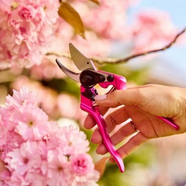 Felco 6 Secateurs - Pink Passion Felco 6 Secateurs - Pink Passion
