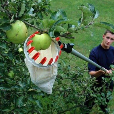 Fruit Picker Basket &amp; Handle