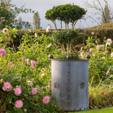 Galvanised Steel Large Round Planter Galvanised Steel Large Round Planter