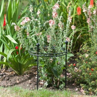 Harrod Short Circular Plant Support - Matt Black