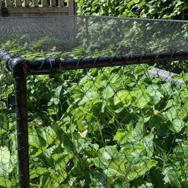Harrod Slot &amp; Lock® Black Strawberry Cage
