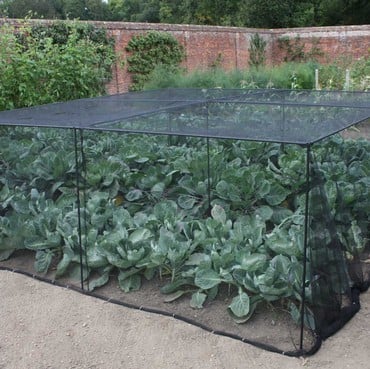 Harrod Slot &amp; Lock® Black Vegetable Cage (1.2m H)