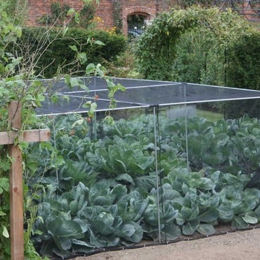 Harrod Slot &amp; Lock® Vegetable Cage (1.2m H)