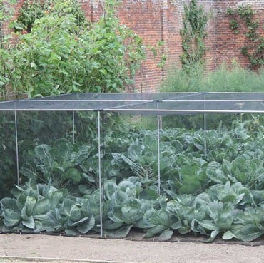 Harrod Slot &amp; Lock® Vegetable Cage (1.5m H)