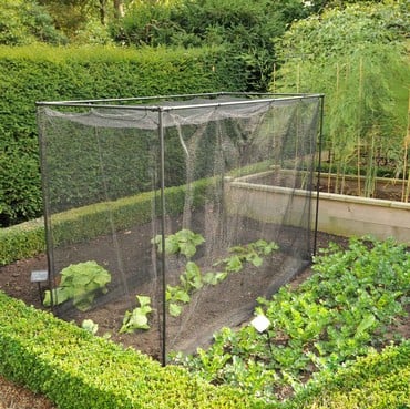 Harrod Stormproof (Black 1.5m H) Frame Saver Vegetable Cage