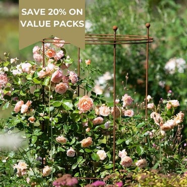 Harrod Tall Circular Plant Support - Rust Harrod Tall Circular Plant Support - Rust