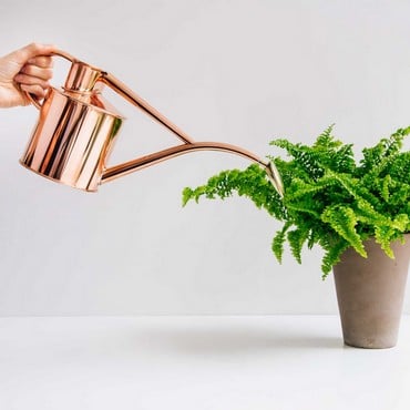 Haws Watering Cans Garden Supplies At Harrod Horticultural Haws Copper Indoor And Seedling Watering Can