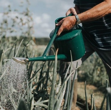 Haws Heavy Duty Plastic Watering Can