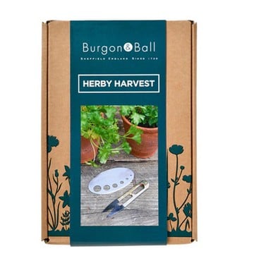 Herby Harvest Set