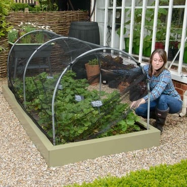 Hoops &amp; Butterfly Net Cover for Superior Metal Beds
