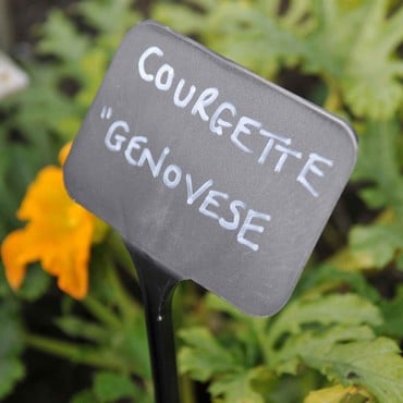 Large Black Plastic Labels, Angled Head (10 Pack) Large Black Plastic Labels, Angled Head (10 Pack)