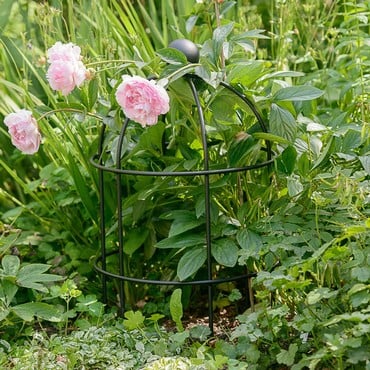 Lobster Pot Plant Support - Matt Black