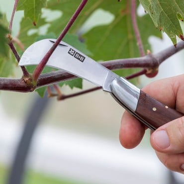National Trust Pocket Knife National Trust Pocket Knife