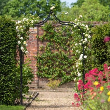 Ogee Garden Arch